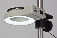 LED Ringlight with stay